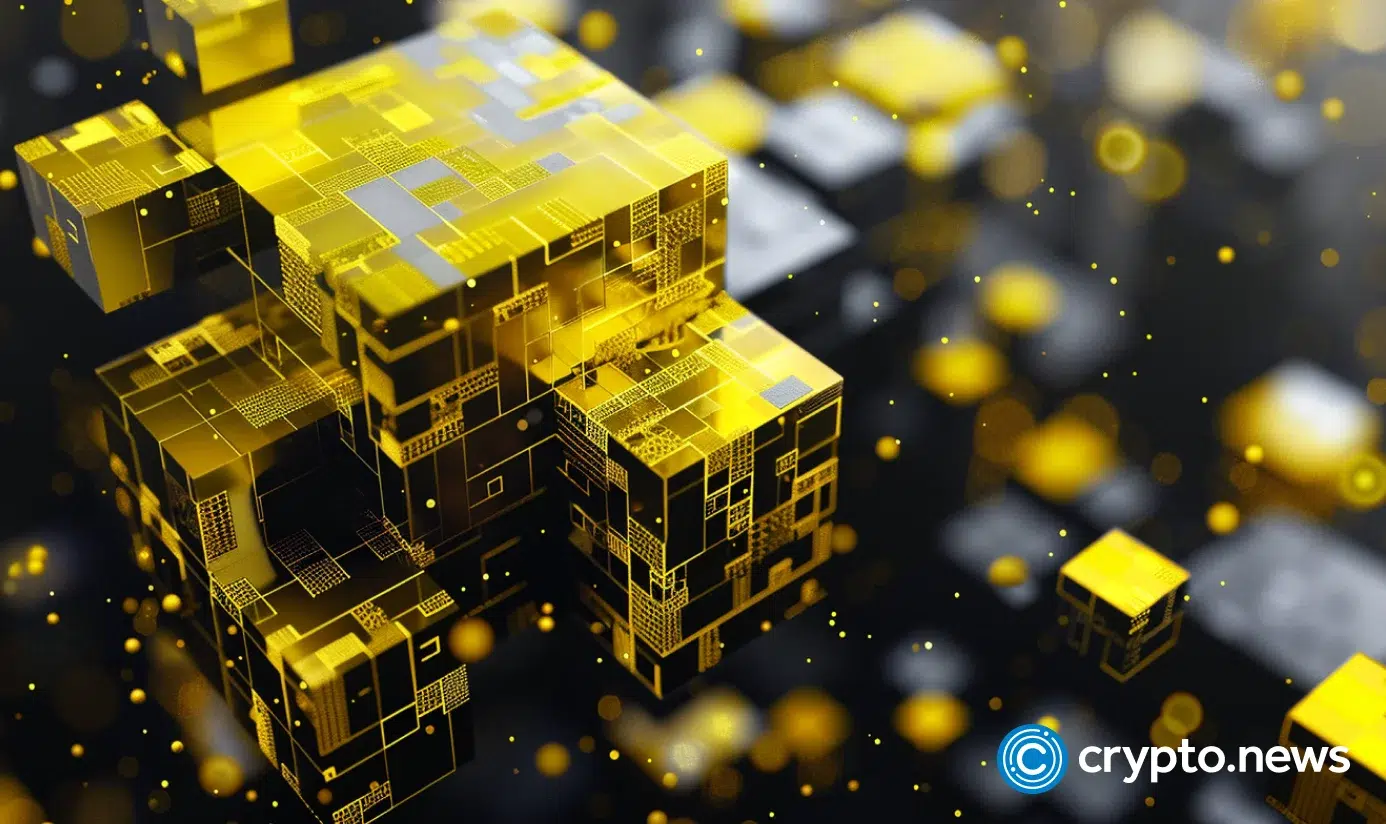 what is Plomin hard fork?